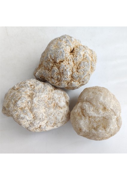 1 Adet Geode Ham Kristal Mineral Kristalleri Doğal Beyaz Taş Taş El Sanatları Koleksiyonu Severler Numune Çalışması Için (Yurt Dışından)
