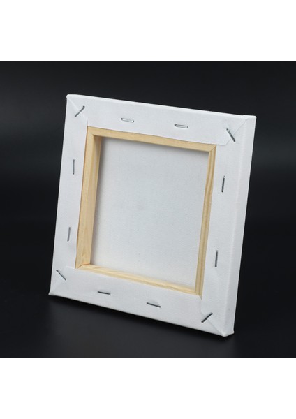 10 Adet/takım 15 cm Beyaz Boş Sanat Panoları Mini Gerilmiş Sanat Kurulu Akrilik Yağlı Boya Ahşap + Pamuk Yapıt Boyama (Yurt Dışından) fırsatları