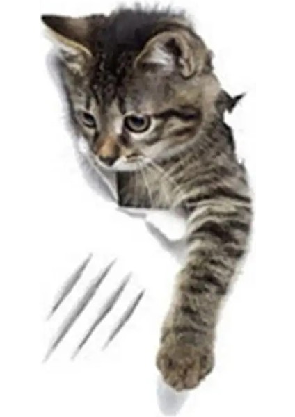 D Tarzı 1 Bilgisayar 3D Güzel Kedi Tuvalet Çıkartmalar Duvar Çıkartmaları Ev Dekorasyon Dıy Komik Karikatür Hayvan Wc Duvar Sanatı Canlı Yavru Köpek Safari Pvc (Yurt Dışından)