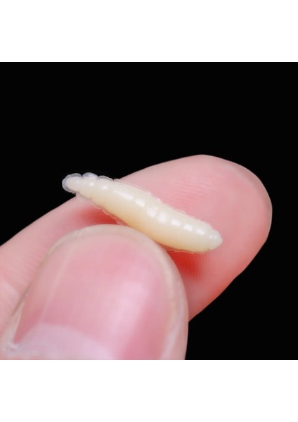 50 Adet Yeşil Stil .6cm Balıkçılık Cazibesi Kurtçuk Grub Yumuşak Yemler Solucanlar Fildişi Bejaydınlık 1.6cm Yumuşak Yem Balıkçılık Aksesuarı Dropship (Yurt Dışından) modelleri