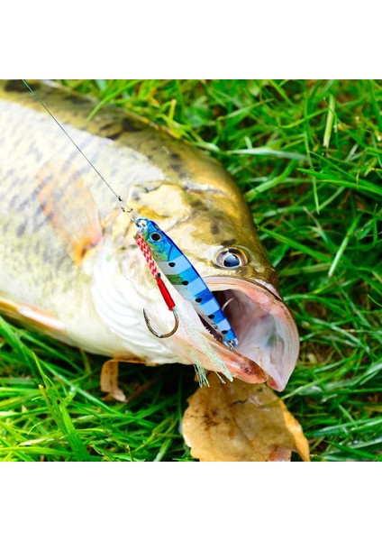 Ben Tarzım 10G 1 Adet Jig Balıkçılık Lures Bas Balıkçılık Yem Ağırlıkları Balık Metal Jigs Tuzlu Su Lures Uzun Atış Isca Yapay Jig Cazibesi (Yurt Dışından)