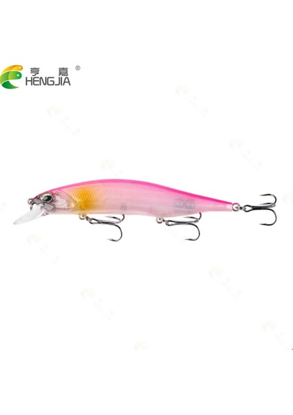No.5 Tarzı Hengjia Jerkbait Uzun Derin Minnow Alabalık Cazibesi 12CM-15G Wobbler Jerkbait Sert Yemler Derin Dalış Pike Bas Deniz Balıkçılığı Cazibesi (Yurt Dışından)