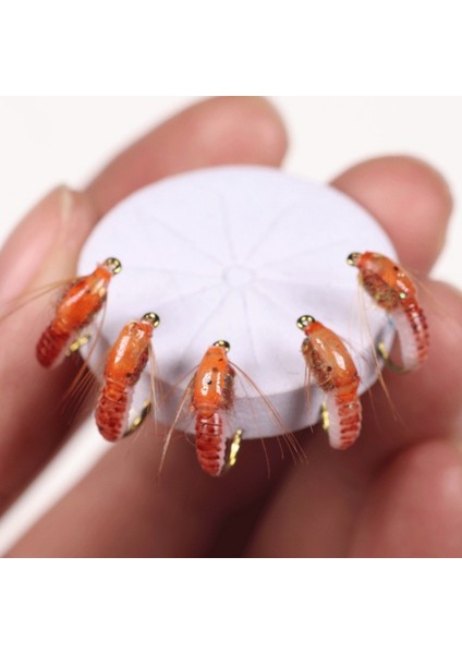 T Tarzı 6 Adet 6 Adet Hızlı Batan Perisi Scud Fly Bug Solucan Alabalık Balıkçılık Sinekler Yapay Böcek Balıkçılık Yem Cazibesi Balıkçılık Araçları (Yurt Dışından)