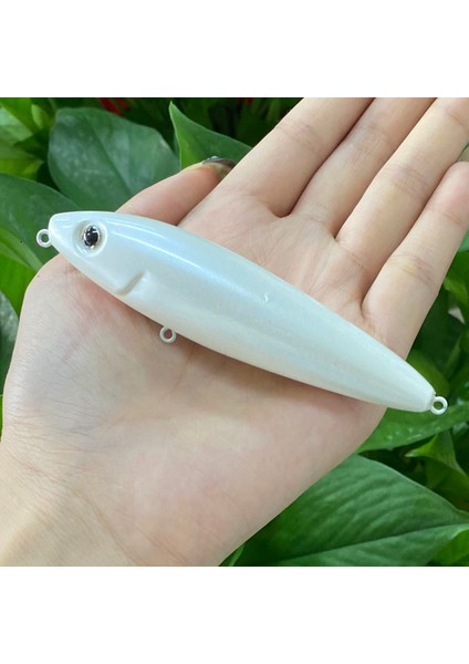Tarzım 100 mm G Üst Su Cazibesi Köpek Balıkçılık Yemi Tuzlu Su Alabalık Bas Cazibesi Wobbler Balıkçılık Cazibesi Yüzen Kalem Yem 9156 (Yurt Dışından) modelleri