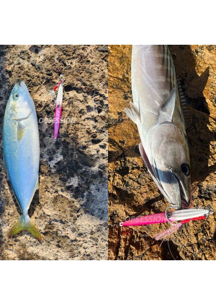 JIG16-YEŞIL Tarzı 300 Gram Obsessıon Metal Batan Jig Tuzlu Su Sazan Pike Peche Jig Er Crankbait Okyanus Balıkçılık Kancalar Çipura Aksesuarları (Yurt Dışından) modelleri