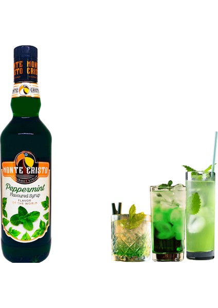 Şurup Nane 70cl