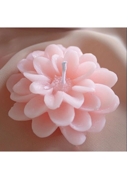 Lotus Çiçeği Kişiye Özel Hediye Seti 10 modelleri