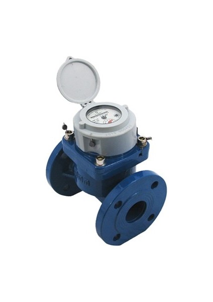 S-Meter Wpı-Sdc DN65 Single-Jet Soğuk Su Sayacı