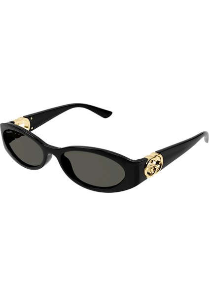 GG1660S 001 54