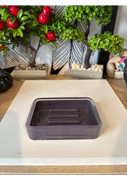 Kristal Akrilik Katı Sabunluk Izgara Modeli