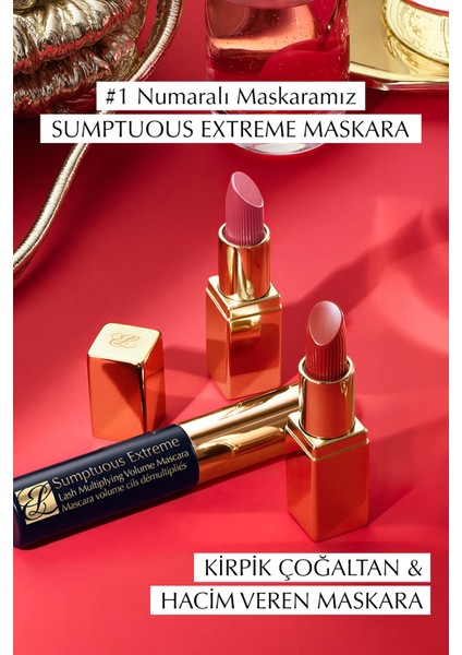 Estee Lauder Favori Dudak Combosu & Makyaj Seti -  Dudak Kalemi, Dudak Dolgunlaştırıcı ve Mini Boy Maskara