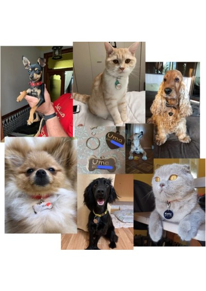 Mavi 2 Tarzı S Beden Ücretsiz Gravür Kedi Köpek Kımlık Etiketi Özel Kişiselleştirilmiş Köpek Tasması Pet Charm Adı Kolye Kemik Kolye Yaka Köpek Aksesuarı (Yurt Dışından) indirimleri