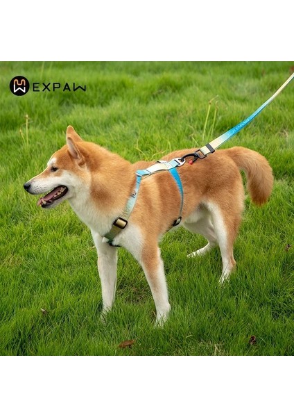 Mavi ve Pembe Tarzı L Beden Ayarlanabilir Naylon Köpek Koşum Moda Göğüs Yelek Hiçbir Çekme Pet Köpek Koşum Küçük Orta Büyük Köpekler Için Corgi Köpek Malzemeleri (Yurt Dışından) fırsatları