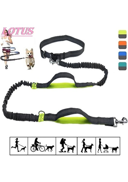 CHHG44-B Stili Yeni Yansıtıcı Tasma Çekiş Pet Köpek Koşu Kemeri Elastik Tasma Çekiş Halat Koşu Çekme Köpek Tasma Tasmaları Para Perros (Yurt Dışından)