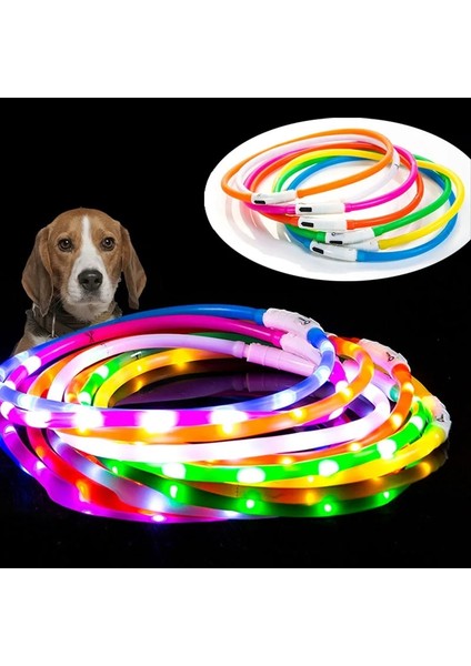 Gül Tarzı L Beden LED USB Şarj Köpek Tasması Şarj Edilebilir Lityum Pil Aydınlık Gece Güvenliği Anti-Kayıp Pet Labrador Için Yanıp Sönen Parlayan (Yurt Dışından) fiyatları