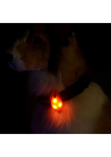 Sarı Stil Pet LED Kolye Güvenlik Yanıp Sönen Glow Işık Yanıp Sönen LED Yaka Kolye Kolye Pet Köpek Yavrusu Için Pet Pet Malzemeleri (Yurt Dışından) modelleri
