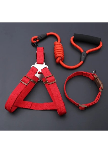 No.5 Tarzı 10X1200 mm Küçük Köpek Pet Köpek Tasmaları Seti Ayarlanabilir Toka Tasma Büyük Köpekler Harneuahua Yürüyüş Kurşun Tasma Köpek Pet Koşum Yelek (Yurt Dışından)