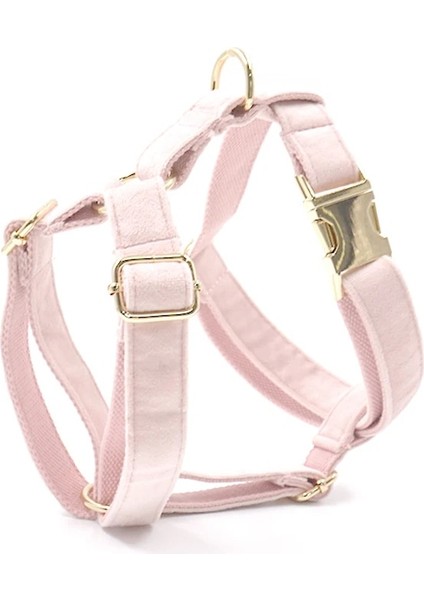 Krem Yay Stili M Göğüs 45-72CM Köpek Koşum Kişiselleştirilmiş Adı Kalın Kadife Yumuşak Küçük Orta Büyük Köpek Için Pet Koşum Hızlı Bırakma Köpek Için Altın Toka Koşum (Yurt Dışından)