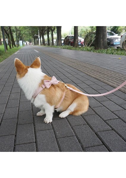 Krem Yay Stili M Göğüs 45-72CM Köpek Koşum Kişiselleştirilmiş Adı Kalın Kadife Yumuşak Küçük Orta Büyük Köpek Için Pet Koşum Hızlı Bırakma Köpek Için Altın Toka Koşum (Yurt Dışından)