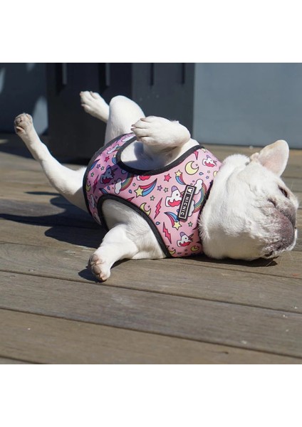 Kırmızı Köpek Tasma Stili M Beden Pembe Unicorn Küçük Köpek Koşum Hiçbir Çekme Köpek Yelek Koşum Orta Küçük Köpekler Için Koşum Tasma Seti Evcil Köpek Fransız Bulldog Pug (Yurt Dışından) indirimleri