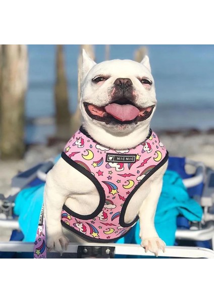 Kırmızı Köpek Tasma Stili S Beden Pembe Unicorn Küçük Köpek Koşum Hiçbir Çekme Köpek Yelek Koşum Orta Küçük Köpekler Için Koşum Tasma Seti Evcil Köpek Fransız Bulldog Pug (Yurt Dışından) modelleri