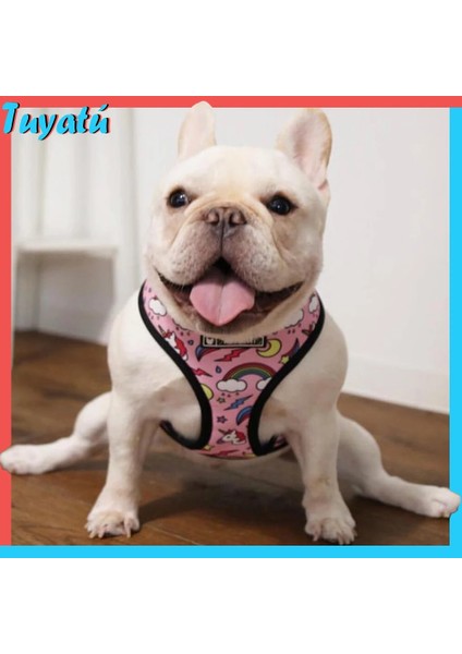 Kırmızı Köpek Tasma Stili S Beden Pembe Unicorn Küçük Köpek Koşum Hiçbir Çekme Köpek Yelek Koşum Orta Küçük Köpekler Için Koşum Tasma Seti Evcil Köpek Fransız Bulldog Pug (Yurt Dışından) fırsatları
