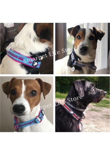 Mavi Stil Xl 45-55CM Boyun Truelove Yumuşak Kayma Köpek Tasması Yansıtıcı Ayarlanabilir P Zincir Eğitimi Küçük Orta Büyük Köpekler Için Köpek Eğitimi Şok Tasmaları (Yurt Dışından)