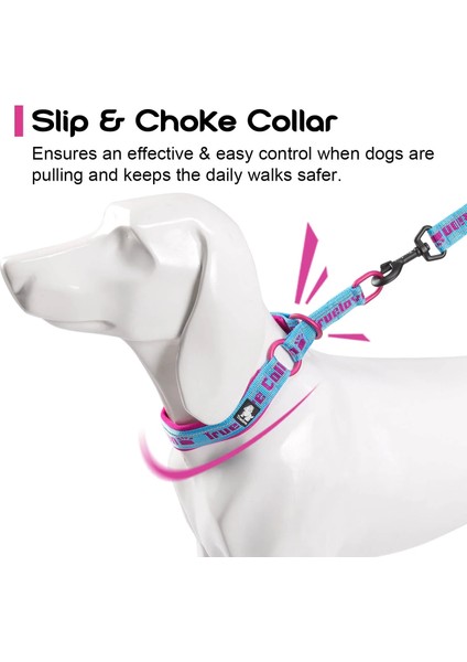 Mavi Stil Xl 45-55CM Boyun Truelove Yumuşak Kayma Köpek Tasması Yansıtıcı Ayarlanabilir P Zincir Eğitimi Küçük Orta Büyük Köpekler Için Köpek Eğitimi Şok Tasmaları (Yurt Dışından)