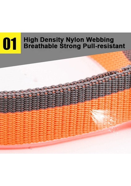 Neon Sarı Tarzı 51-66CM Boyun Küçük, Orta ve Büyük Köpekler Için Truelove Köpek Tasması Naylon Boyun Kemeri Eğitimi Yürüyüş Işığı Nefes Alabilir Koşu Turuncu Siyah TLC5171 (Yurt Dışından) modelleri