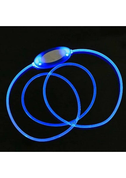 Beyaz Stil USB Şarj LED Köpek Yaka Anti-Lostavoid Köpekler Için Araba Kaza Yaka Köpek Yavruları Köpek Tasması Talepleri LED Malzemeleri Pet Ürünleri Glow (Yurt Dışından) modelleri