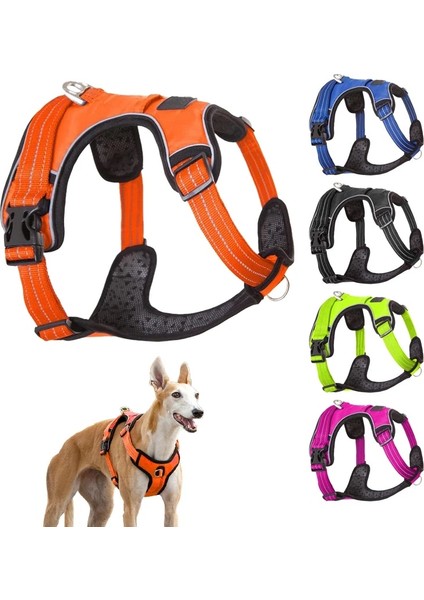 Gül Tarzı S Beden Yüksek Li Güçlü Pet Köpek Koşum Yaka Köpekler Için Eğitim Yelek Orta Büyük Köpek Hizmeti Ayarlanabilir Açık Koruyucu Koşum (Yurt Dışından) fiyatları