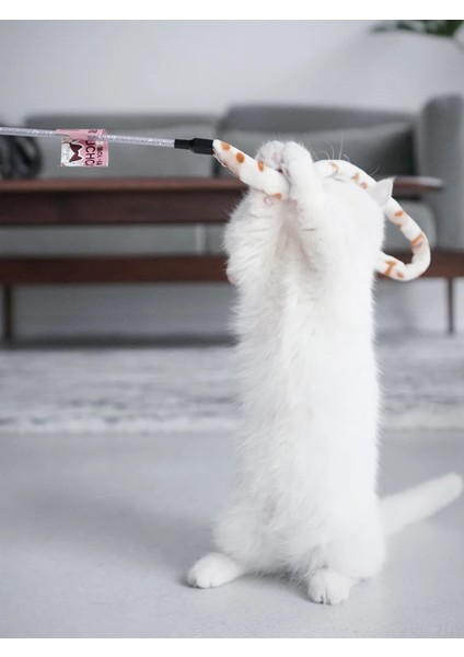 No.5 Tarzı Kedi Oyuncak Tüy Kedi Teaser Değnek Kedi Interaktif Oyuncak Komik Tırtıl Renkli Çubuk Teaser Değnek Pet Kedi Malzemeleri Kedi Aksesuarı (Yurt Dışından) fırsatları