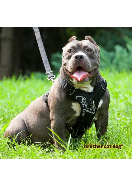 Kırmızı 8813 Tarzı M Beden Yansıtıcı Pet Köpek Koşum Aksesuarları Köpekler Eğitim Yelek Pet Büyük Köpekler Için Tasma Ayarlanabilir Koşum Hizmeti Köpek Kurşun Yastıklı Halat (Yurt Dışından) fiyatları