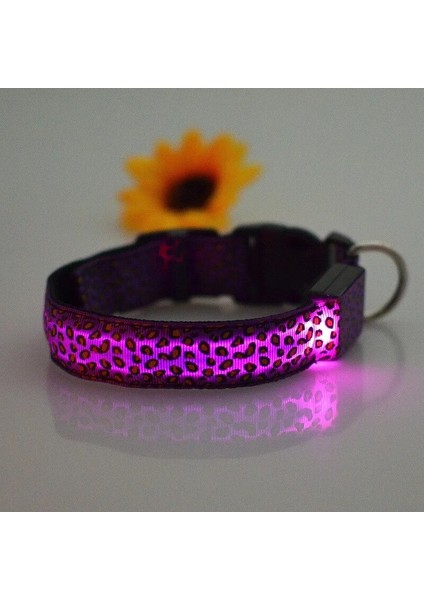 Mor Tarzı S Beden Leopar LED Köpek Tasması Aydınlık Ayarlanabilir Parlayan Köpekler Için Yaka Pet Gece Güvenliği Naylon Yaka Aydınlık LED Parlak Köpek Tasması (Yurt Dışından)