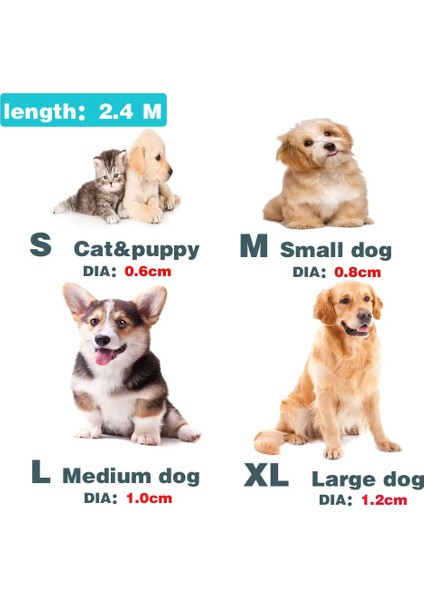 Pur 2.4m Tarzı M Çap 0.8cm Yürüyüş 2 Iki Köpek Bir Tasma Naylon Dolaşmayan Köpek ve Kedi Için Pet Tasma Küçük Orta Büyük Köpekler Için Koşu Pitbull Bulldog Puglar (Yurt Dışından) modelleri
