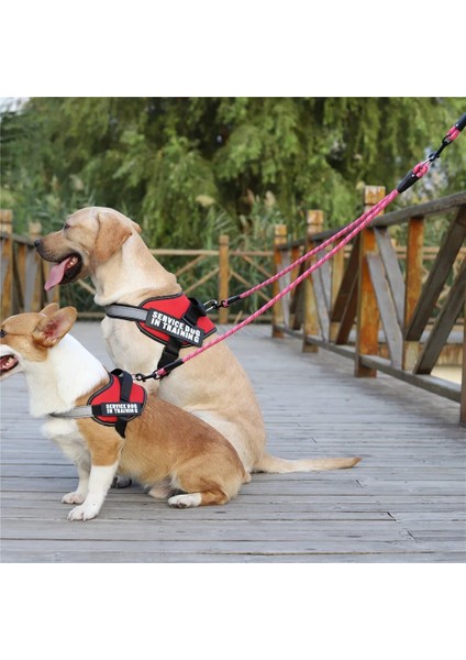 Pur 2.4m Tarzı M Çap 0.8cm Yürüyüş 2 Iki Köpek Bir Tasma Naylon Dolaşmayan Köpek ve Kedi Için Pet Tasma Küçük Orta Büyük Köpekler Için Koşu Pitbull Bulldog Puglar (Yurt Dışından) fırsatları