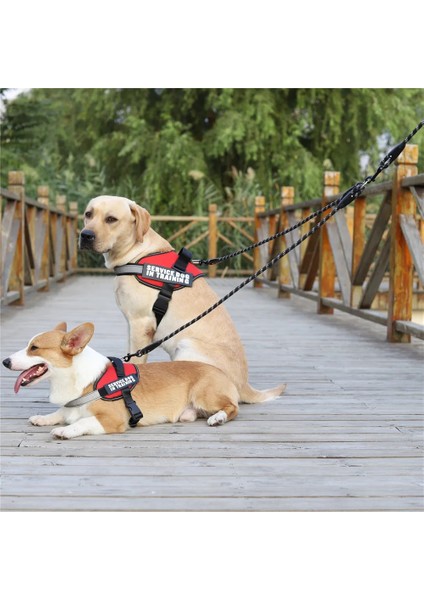 Pur 2.4m Tarzı M Çap 0.8cm Yürüyüş 2 Iki Köpek Bir Tasma Naylon Dolaşmayan Köpek ve Kedi Için Pet Tasma Küçük Orta Büyük Köpekler Için Koşu Pitbull Bulldog Puglar (Yurt Dışından) indirimleri