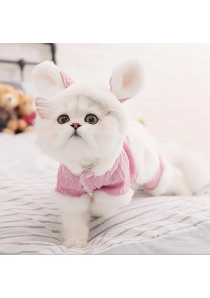 B Tarzı S Beden Kedi Kış Giysileri Küçük Köpekler Için Örme Pet Kazak Yavru Kedi Yelek Gömlek Giyim (Yurt Dışından) fırsatları