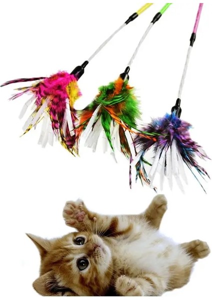 R Stili Kedi Tüy Oyuncaklar Plastik Olta Pet Renkli Teaser Değnek Yavru Kedi Etkileşimli Eğlenceli Oyuncak Evcil Hayvan Malzemeleri Oyun Oyna Kedi Aksesuarı (Yurt Dışından) modelleri
