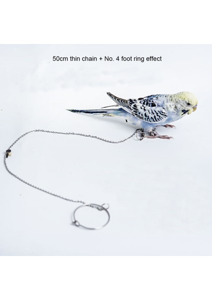 No.2 Tarzı Kuş Papağan Ayak Zinciri Paslanmaz Çelik Ayak Bileği Ayak Halkası Stand Zinciri Açık Uçan Eğitim Kuş Aksesuarları Kuş Malzemeleri (Yurt Dışından) fırsatları