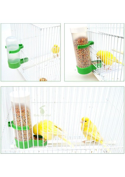 Araç Stili Ekleme Kuş Su Gıda Besleyici Kafes Otomatik Papağan Tiryakisi Parakeets Budgie Cockatiel Lovebirds Için Klip Gıda Su Sebili (Yurt Dışından) fırsatları