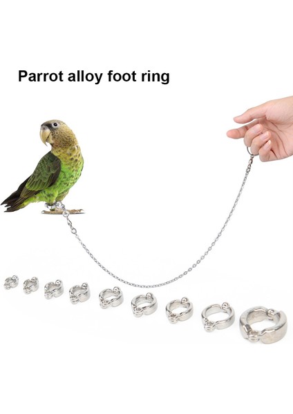 No.3 Tarzı Yenı Et Papağan Bacak Halkası Alaşım Açık Uçan Eğitim Pet Kuşlar Kuş Malzemeleri Için Güvercin Ayak Halkaları (Yurt Dışından) fiyatları
