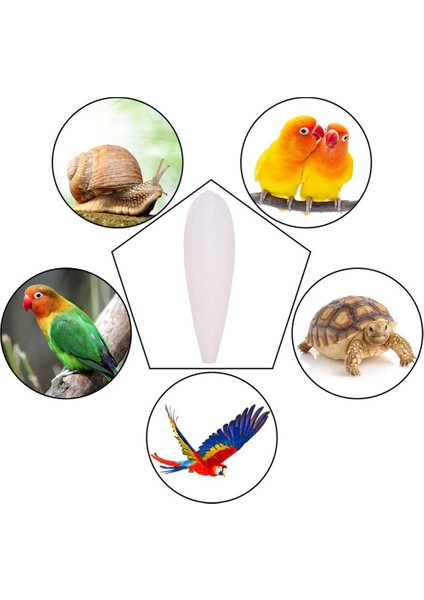 7-10CM Tarzı Kemik Mürekkep Balığı Kuş Yemi Taş Pet Papağan Kalsiyum Takviyeleri Çiğneme Mürekkep Balığı Kemik Evcil Hayvan Kuş Kafesi Gıda Dekorasyonu (Yurt Dışından) modelleri
