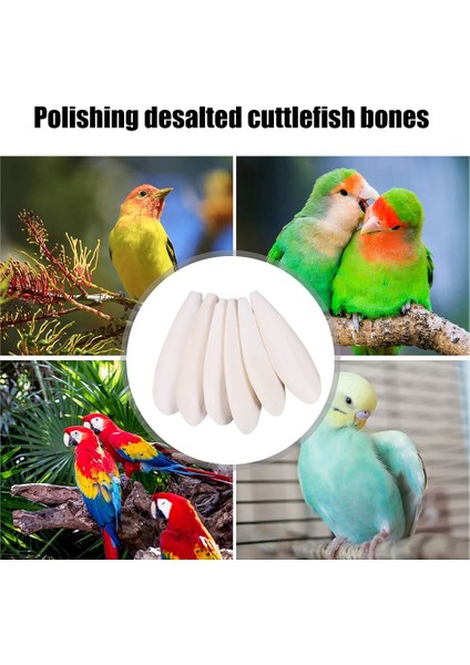 7-10CM Tarzı Kemik Mürekkep Balığı Kuş Yemi Taş Pet Papağan Kalsiyum Takviyeleri Çiğneme Mürekkep Balığı Kemik Evcil Hayvan Kuş Kafesi Gıda Dekorasyonu (Yurt Dışından) fırsatları