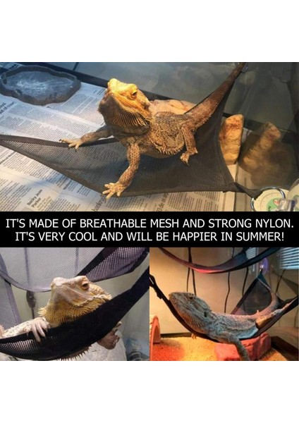 Siyah Stil 2 Adet Pet Hamak Sandalye Sürüngen Kertenkele Gecko Için Vantuzlu Tırmanma Üçgen Net Pet Uyku Üçgen Net Sürüngen Aksesuarları (Yurt Dışından) indirimleri