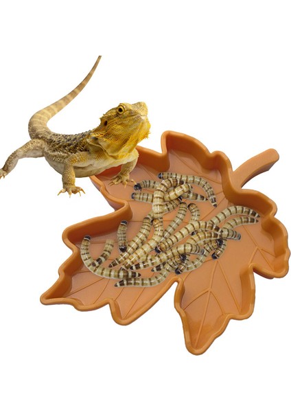 D Stili Sürüngen Su Yemek Tabağı Kase Besleme Plakası Pot Plastik Kaplumbağa Gecko Yemek Solucan Kertenkele Yengeç Besleyici Yaprak Şekli Evcil Hayvanlar Yetiştirme Tepsisi (Yurt Dışından) modelleri