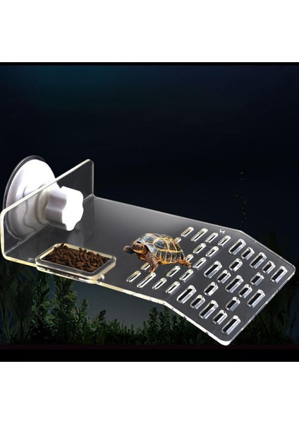 M Tarzı Kaplumbağa Tankı Sürüngen Yüzer Iskele Kurulumu Kolay Güçlü Vantuz Platform Basking Stone Island Terrapin Teraryumu (Yurt Dışından) modelleri