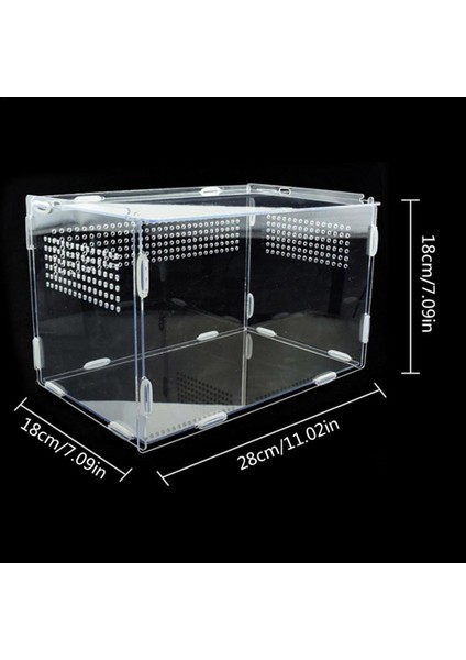 L Tarzı Sürüngen Yetiştiriciliği Kutusu Akrilik Örümcek Kertenkele Kurbağa Için Besleme Kutusu Kriket Kaplumbağa Besleme Kutusu Sürüngen Kafesi Kuluçka Konteyneri (Yurt Dışından)