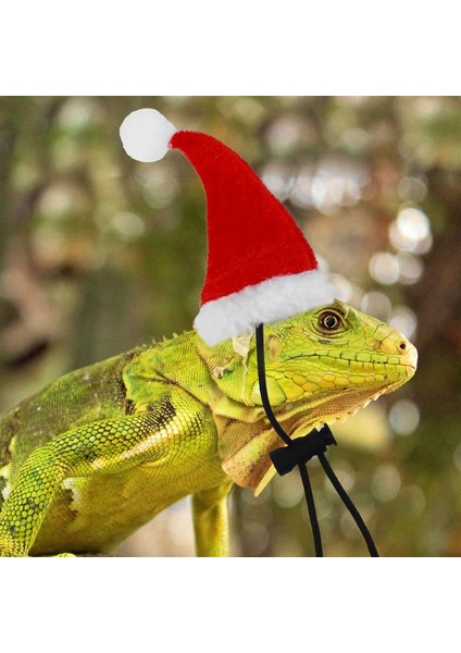 2 Adet Sürüngenler Christams Şapka Cosplay Sahne Sakallı Ejderha Kertenkele Santa Şapka Eşarp ile Pet Noel Kostüm Sürüngenler Için Set (Yurt Dışından)