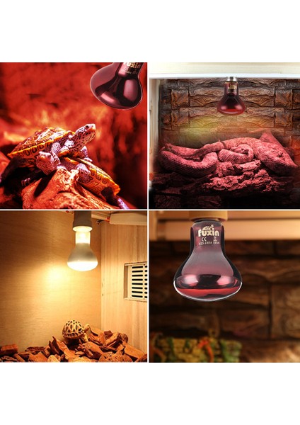 Gümüş 50W Tarzı Sürüngen Lamba Mini Pet Isıtma Lambası E27 Uv Gündüz Gece Amfibi Kaplumbağa Yılan Lamba Isı Sürüngen Ampul Işık Ac (Yurt Dışından) fırsatları